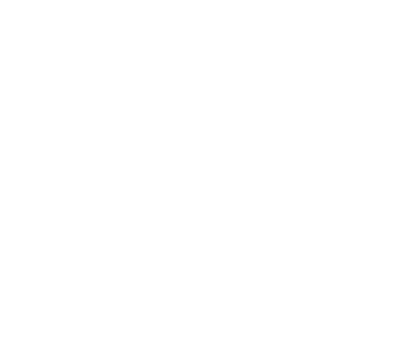 logo burger brothers white